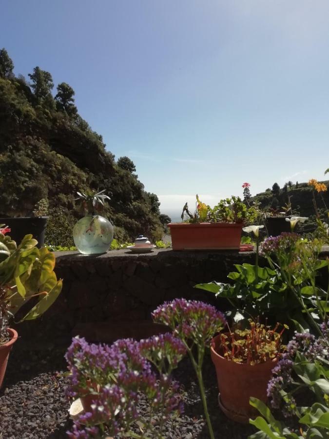 Grosse Finca 19Jh, Pool, Terrasse, Nahe Santa Cruz Санта-Крус-де-ла-Пальма Екстер'єр фото